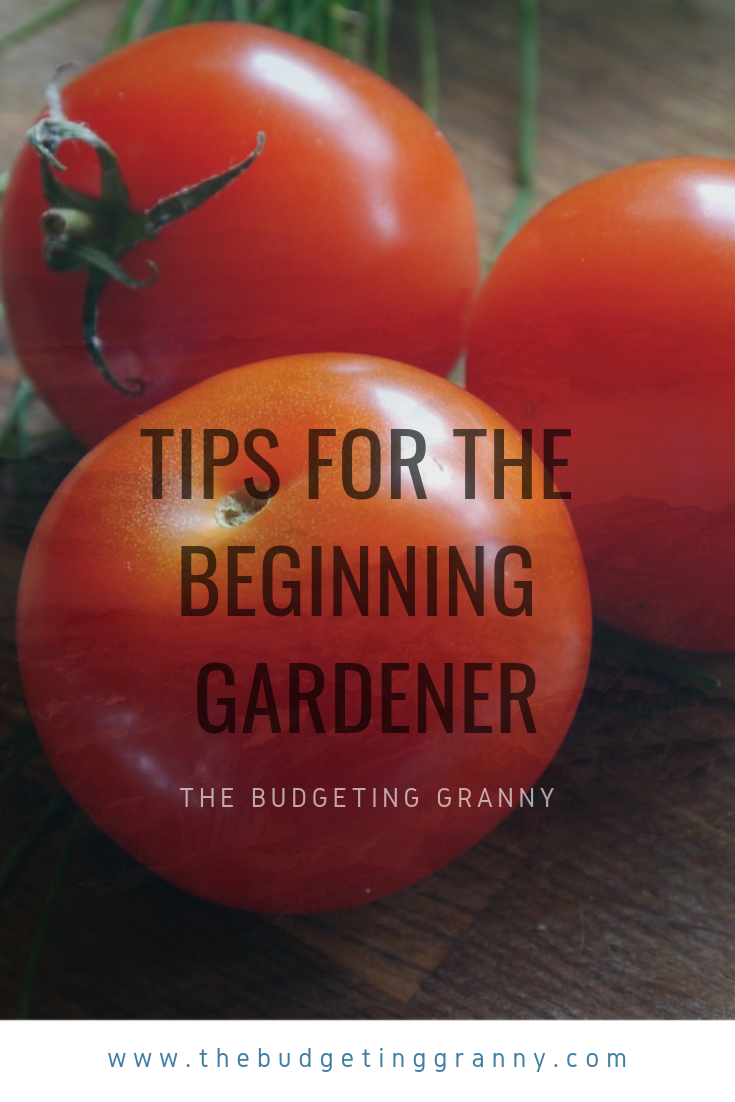 Tips For The Beginning Gardener - The Budgeting Granny